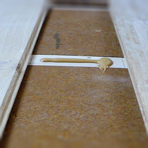Wood fibre board FiberTherm Floor dry screed