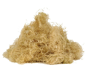 Hemp fiber Canawool